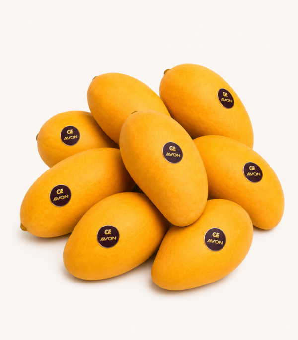 Sindhri Mango Box