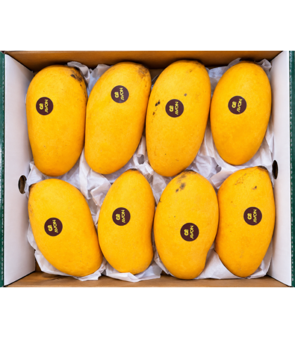 Sindhri Mango Box